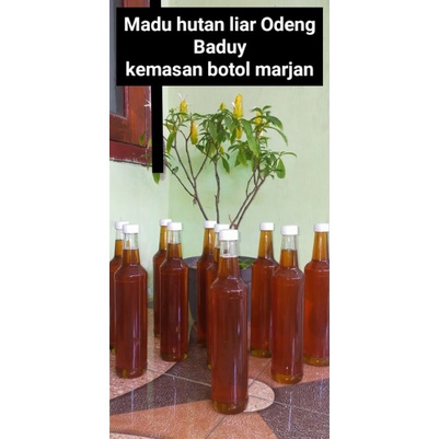 

MADU HUTAN LIAR ODENG BADUY