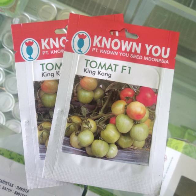 Benih Tomat F1 KING KONG isi 65 biji