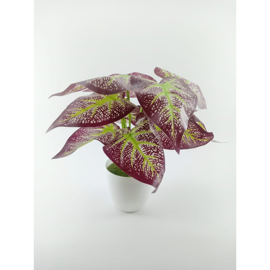 COD TANAMAN HIAS TANAMAN DAUN PLASTIK TANAMAN HIAS RUMAH BUNGA HIAS BUNGA PLASTIK BUNGA BP8829-COKLAT