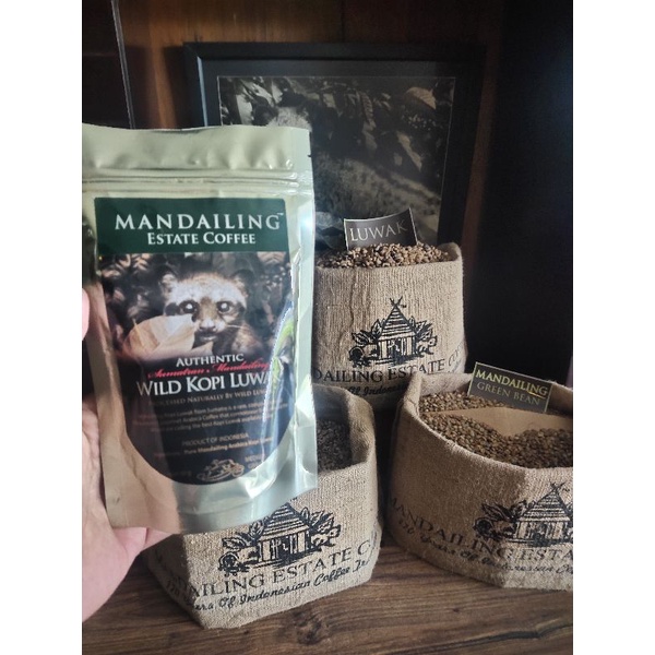 

WILD KOPI LUWAK PURE 50GR AUTHENTIC SUMATRAN MANDAILING