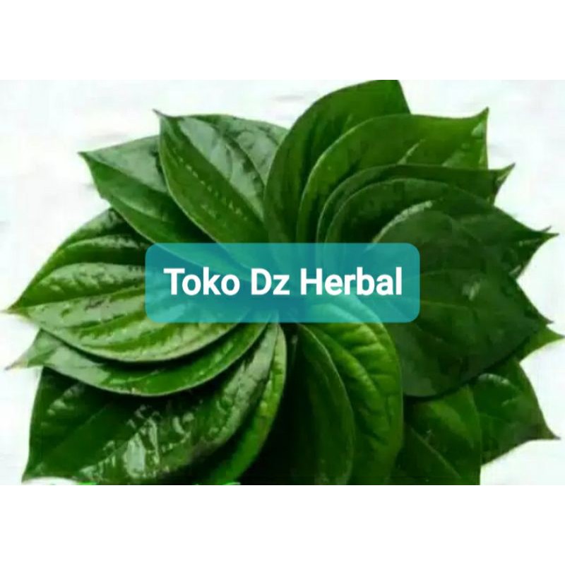 

Daun sirih hijau segar 500 gram alami-az