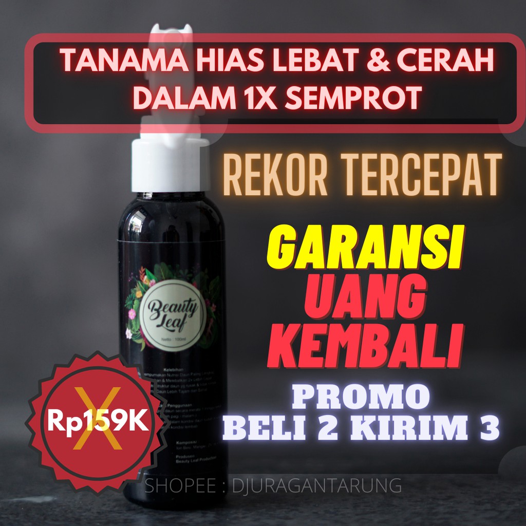 Pupuk Tanaman Hias Semua Jenis,Pupuk Tanaman Hias Terbaik, Pupuk Tanaman Hias Aglonema