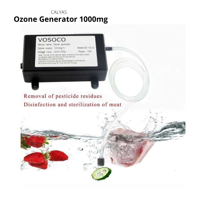 Ozone Generator Water Treatment Purifier Sterilizer 1000mg