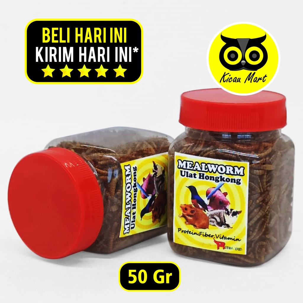 ULAT HONGKONG KERING PAKAN MAKANAN SUGAR GLIDER / GECKO / BURUNG TOPLES MEALWARM