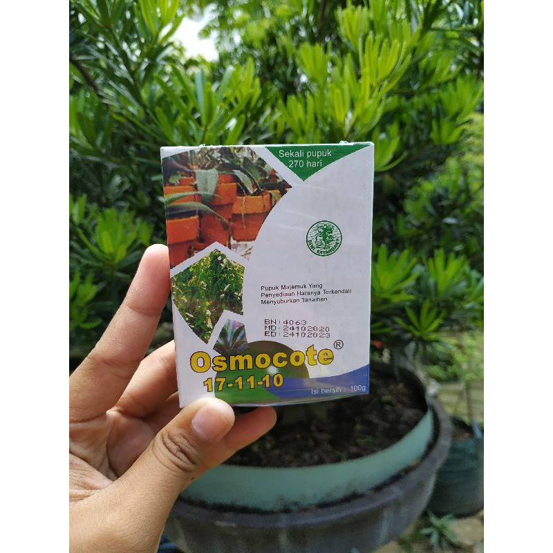 OSMOCOTE ( DEKASTAR ) 171110 17 11 10 D Daun Pupuk NPK Slow Release Asli Kemasan Pabrik 100 Gram