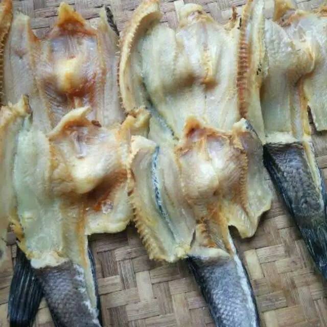 

Ikan gabus medan berat 250 gram
