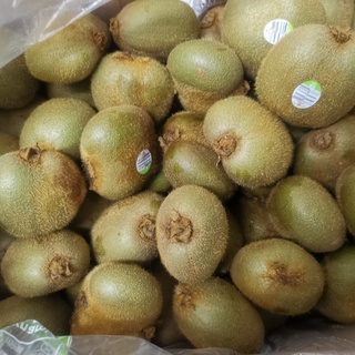 Jual Buah Kiwi Hijau Chile Impor Fresh 500 Gram | Fruit Import Segar