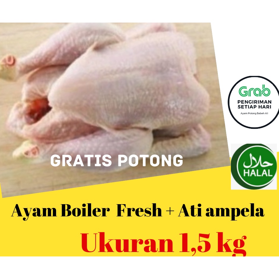 

Ayam Potong / Ayam Segar / Ayam Boiler 1,5KG