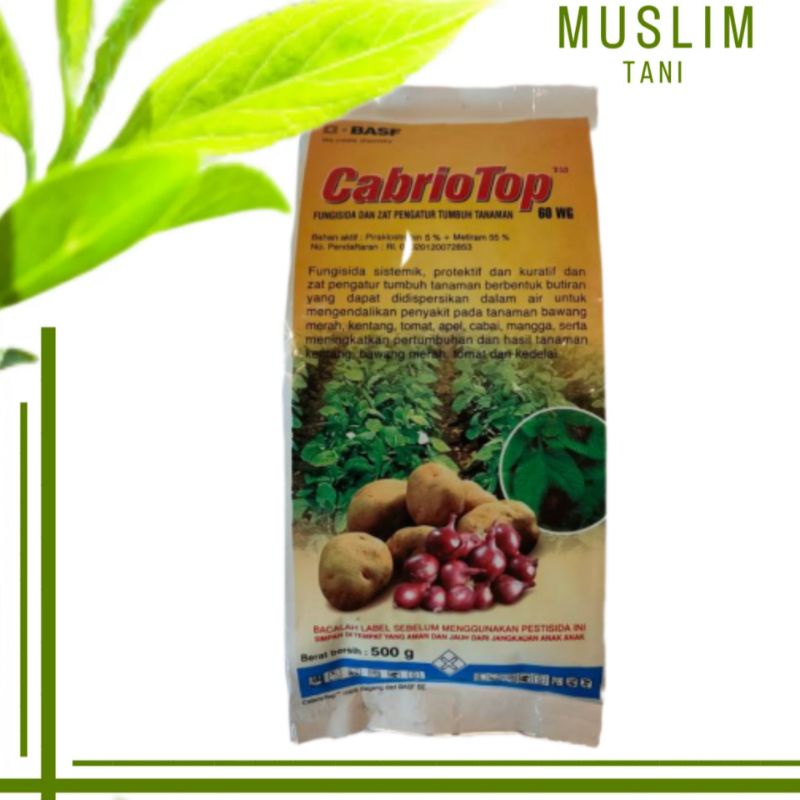 Cabrio Top 60WG 500gr