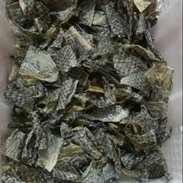 

Krupuk kulit ikan NiLa