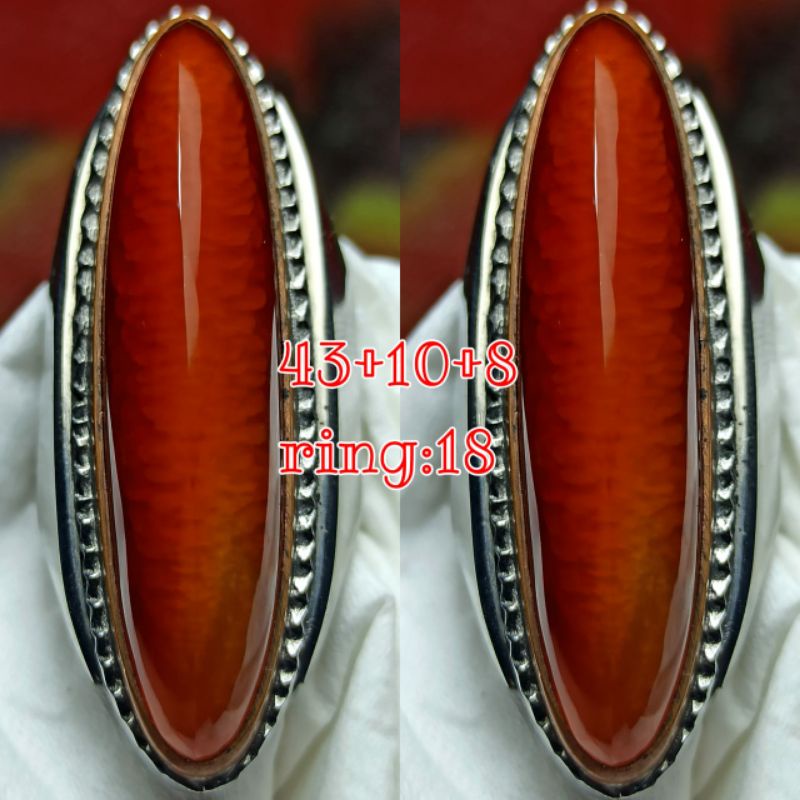 PANDAN MERAH SISIK BETOK