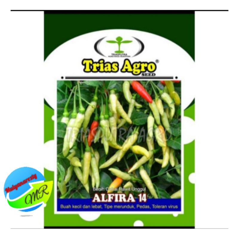 Benih Cabe Rawit Putih Merunduk "ALFIRA 14 10gram isi 2100 biji