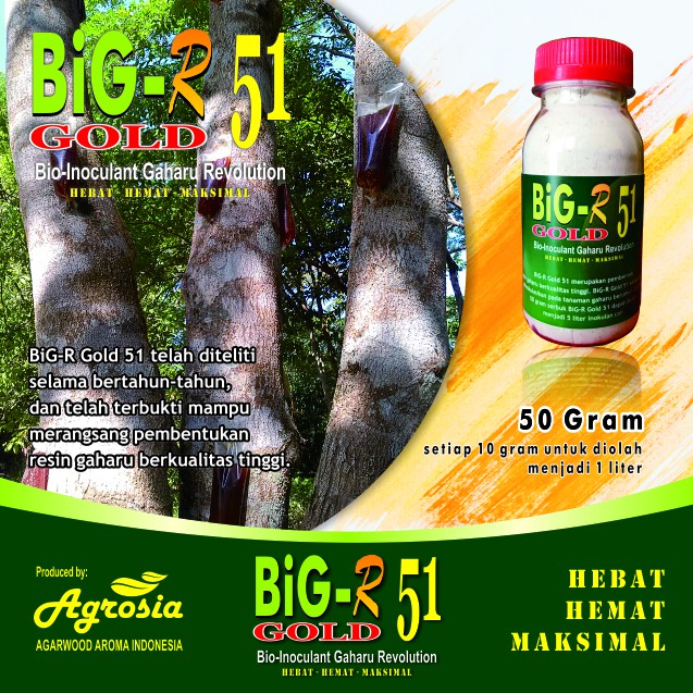 BiG-R Gold 50 gram - Inokulan Gubal Gaharu Terbaik dan Terlaris