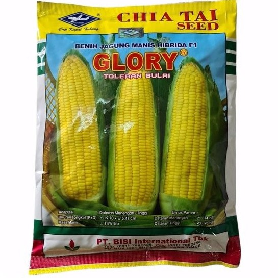 Benih Jagung Manis GLORY 250 gram Hibrida F1 Cap Kapal Terbang