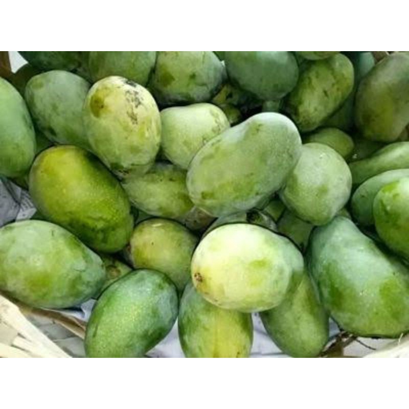 

OmJuss | Mangga Harum Manis Tua Pohon 1kg