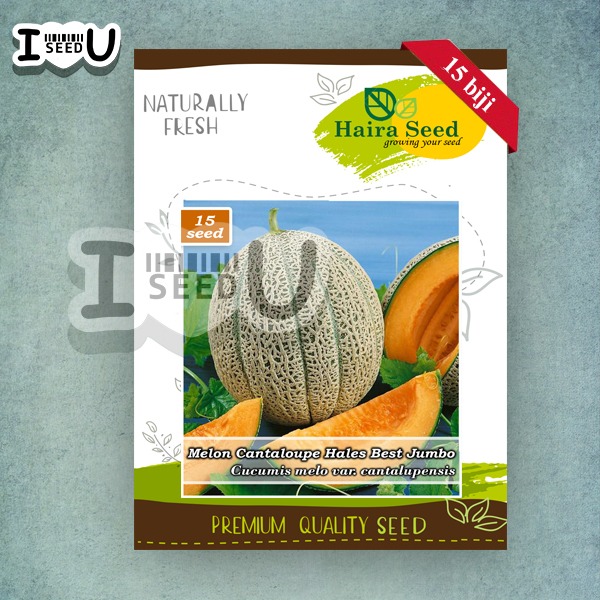 Haira Seed BIbit-BIji Melon Cantaloupe Hales Best Jumbo