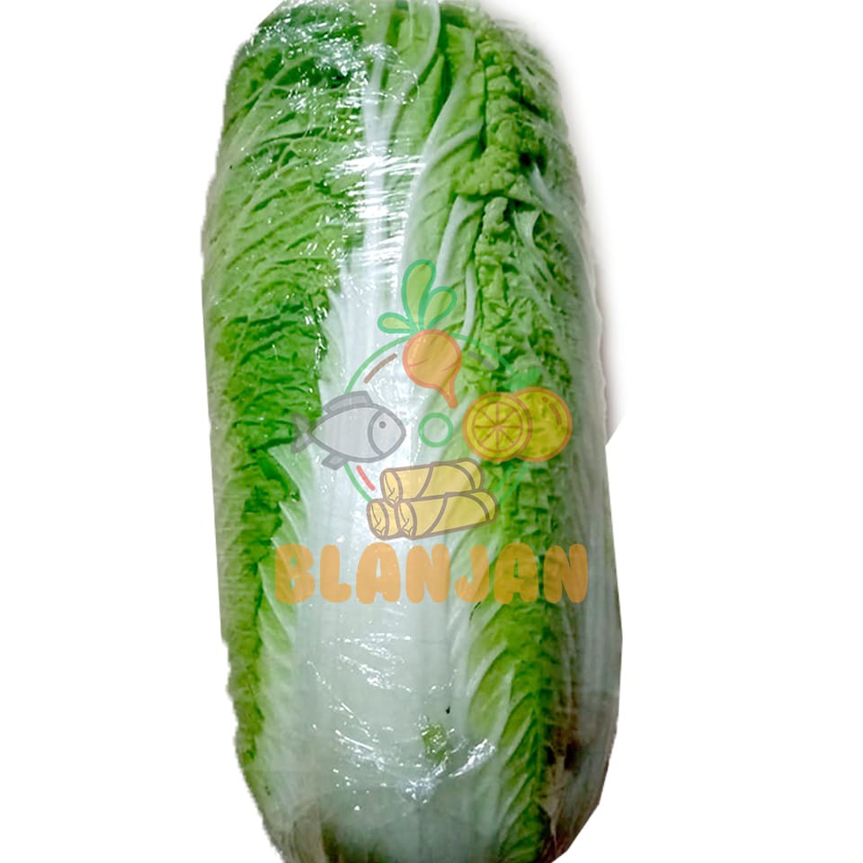 

Jual Sawi Putih 500 gram Pasar Sayur Bandungan Semarang