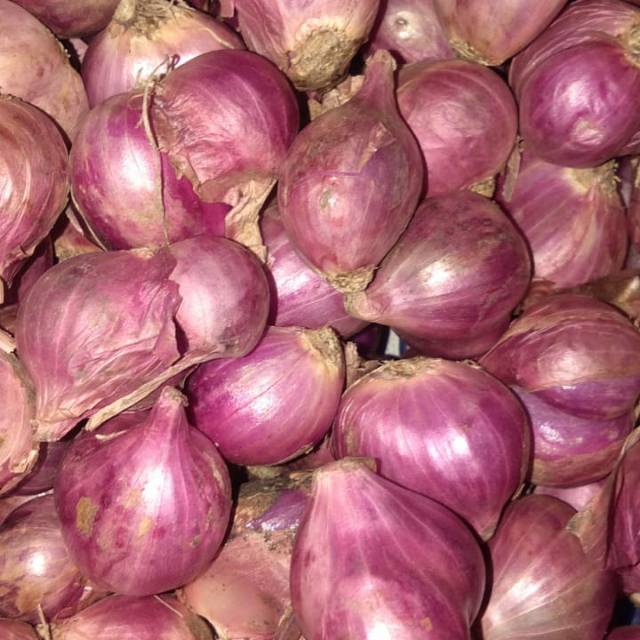 

Bawang merah super