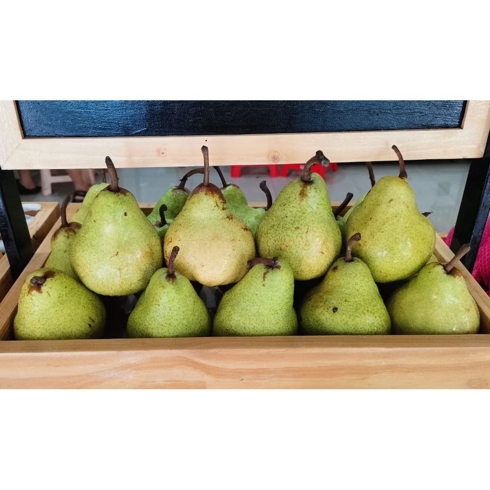 Jual Buah Pear Hijau Pear Packham Pir Jambu Shopee Indonesia 