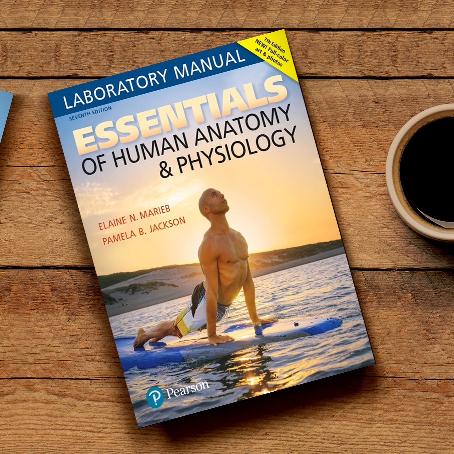 Essentials Of Human Anatomy Physiology Laboratory Manual 7th Edition Shopee Indonesia
