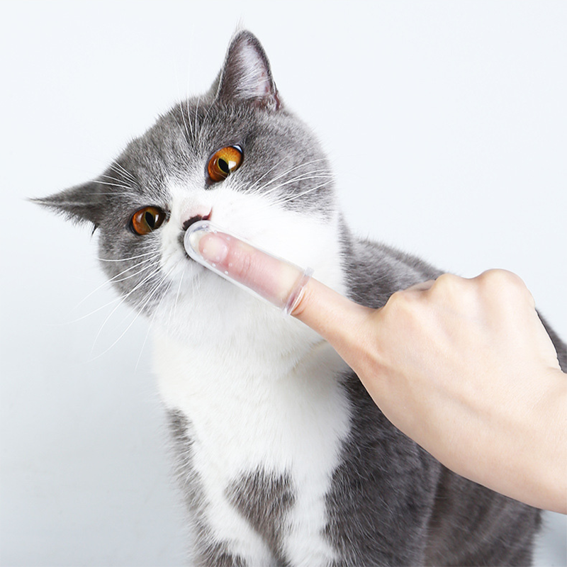 ★〓YUFeiPet〓★ Cat Dog Finger Toothbrush Pet Toothbrush To Remove Bad Breath and Tartar Toothbrush Cat Oral Cleaning Supplies