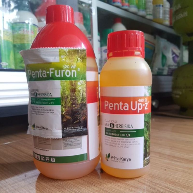 penta up-z herbisida 480 sl