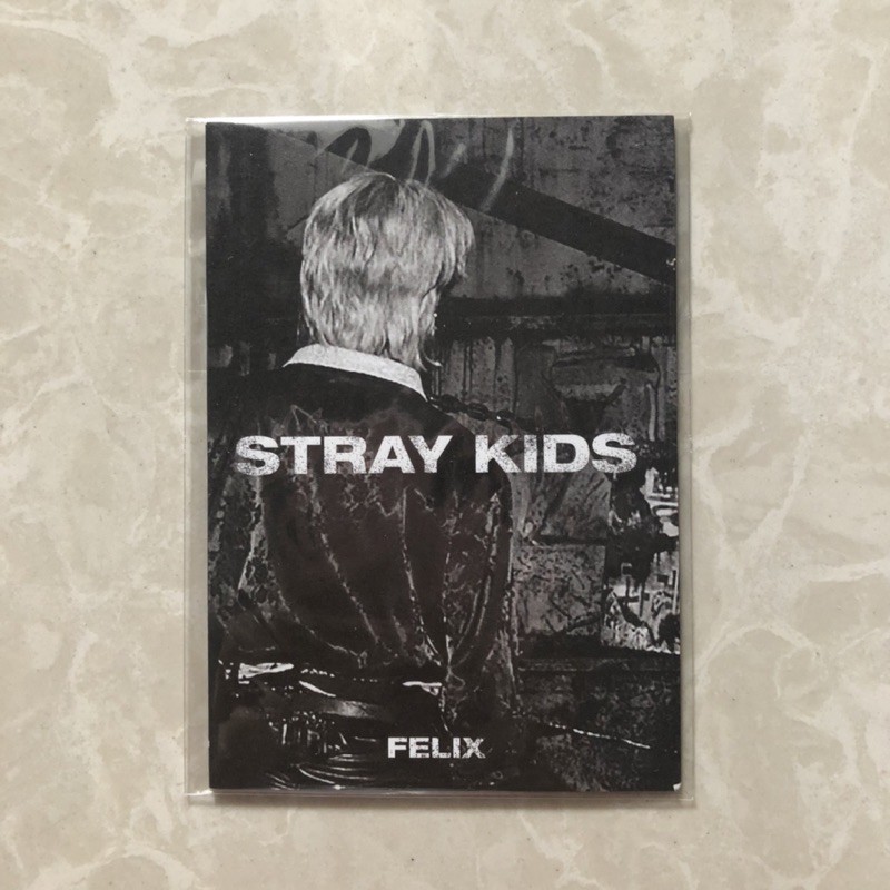 Stray Kids In Life Felix Mini Photobook Album Benefit