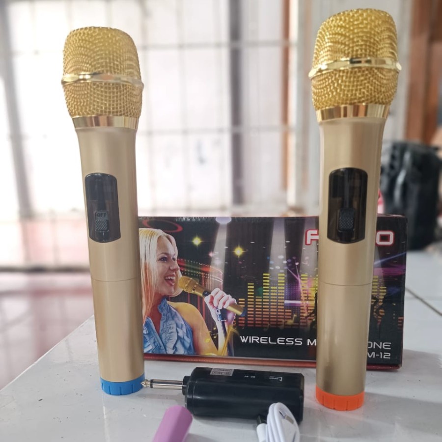 COD MICROPHONE WIRELESS FLECO M-12 DOUBLE MIC WIRELEES