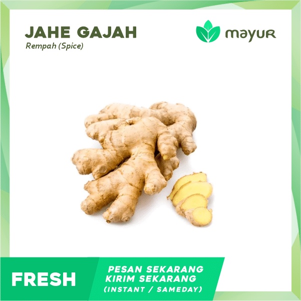 

Jahe Gajah (100 gram)