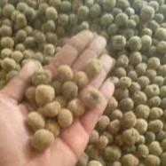 Biji Jati Super Gama Grosir