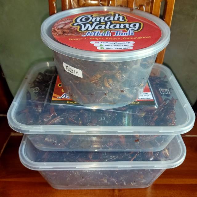 

Belalang goreng 3 rasa