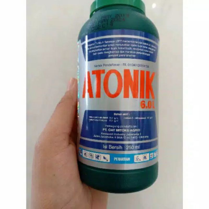 

Premium zpt ATONIK isi 250ml