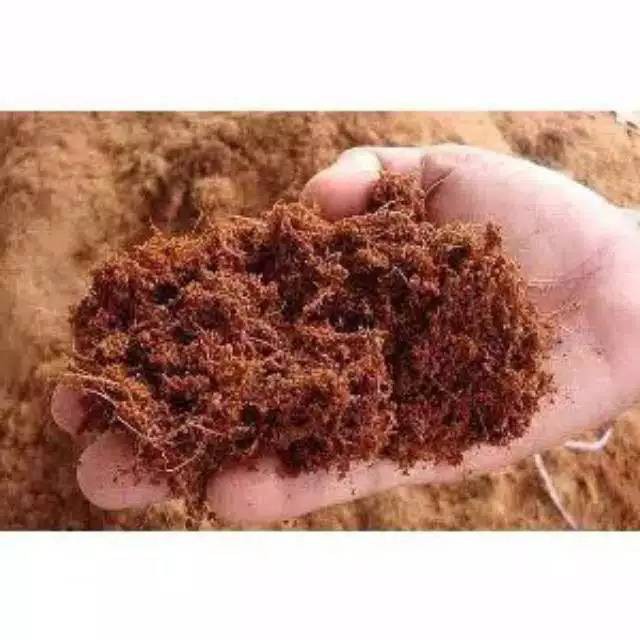 COCOPEAT MEDIA TANAM