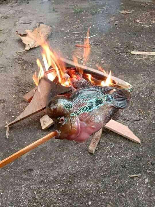 Underwear Storage 24 Grid Box Penyimpanan Celana Dalam /kaos Kaki / Brg Kecil