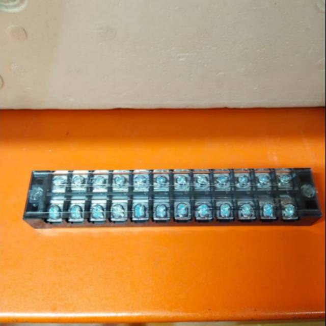 Terminal blok 12 pole 25A