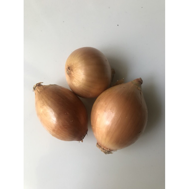 

Bawang Bombai 250gr