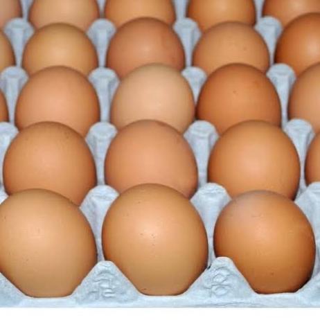 

Telur ayam per kg ❂