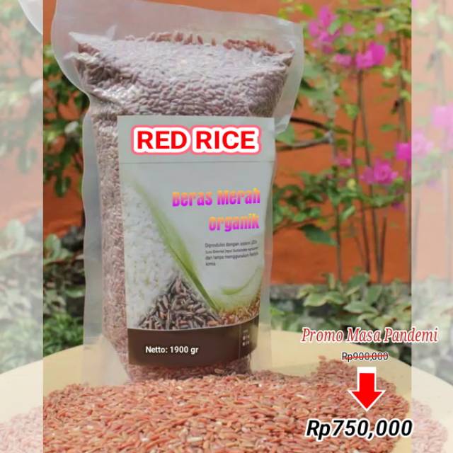 

Beras Merah Organik Premium Kemasan Pouch