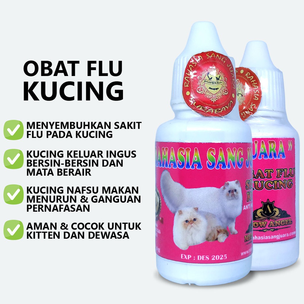 OBAT FLU KUCING AMPUH UNTUK KITTEN DAN DEWASA