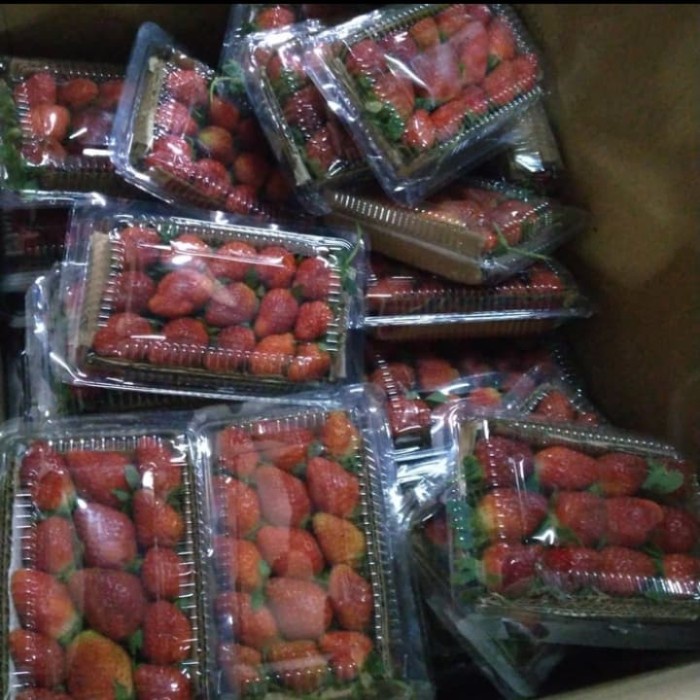 

grosir strawbery bandung super 10pack