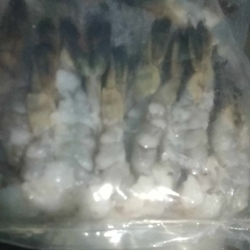 

udang kupas bersih beku