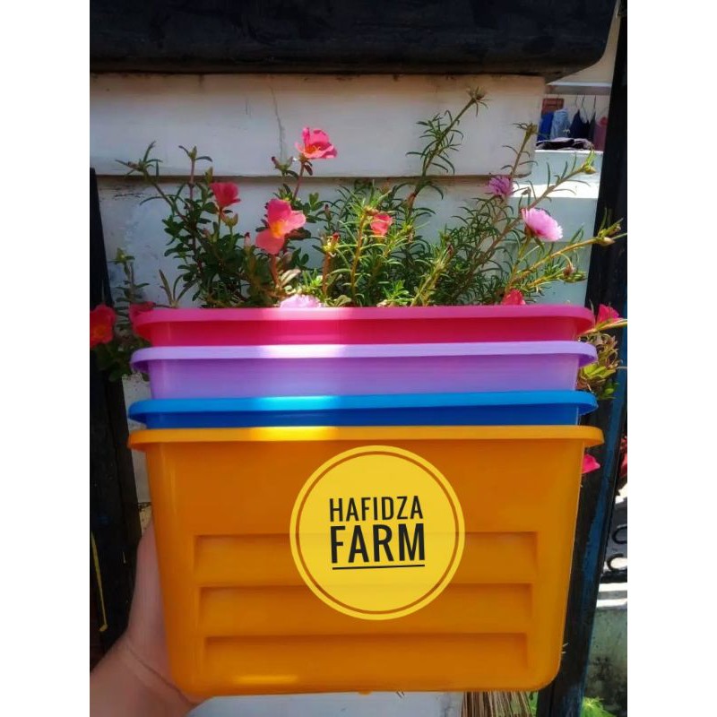 POT DINDING PELANGI HITAM ORANGE PINK BIRU  POT TEMPEL PELANGI  BUKAN POT DINDING TEMPEL ARGO NKT