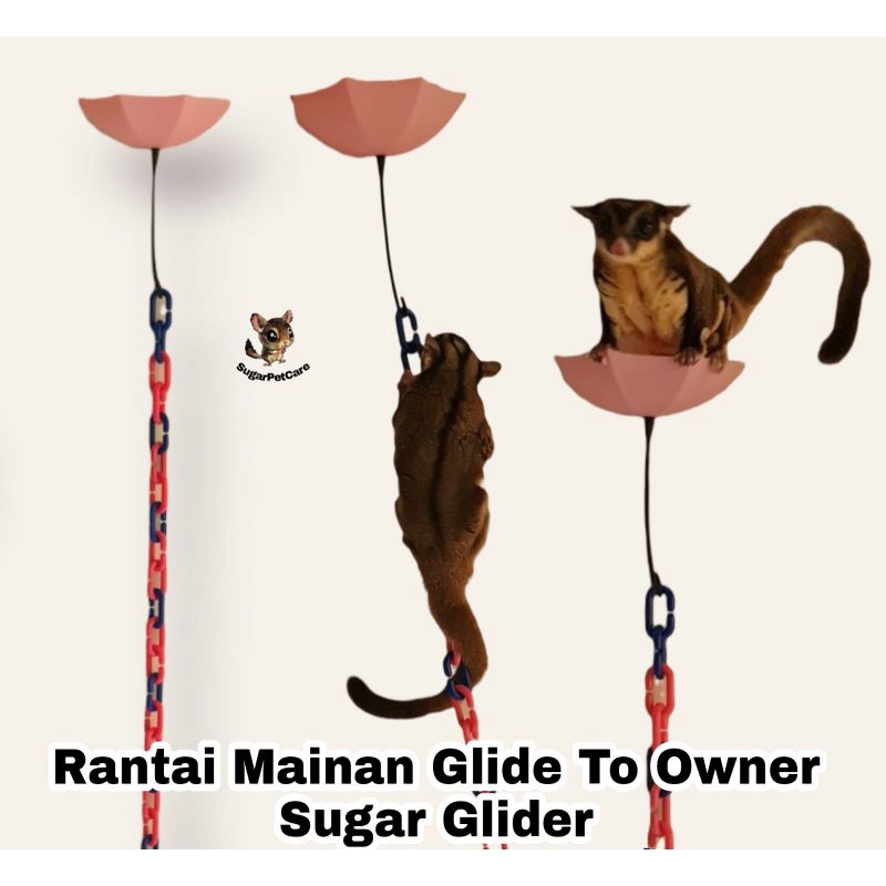 Rantai Mainan Glide To Owner Sugar Glider