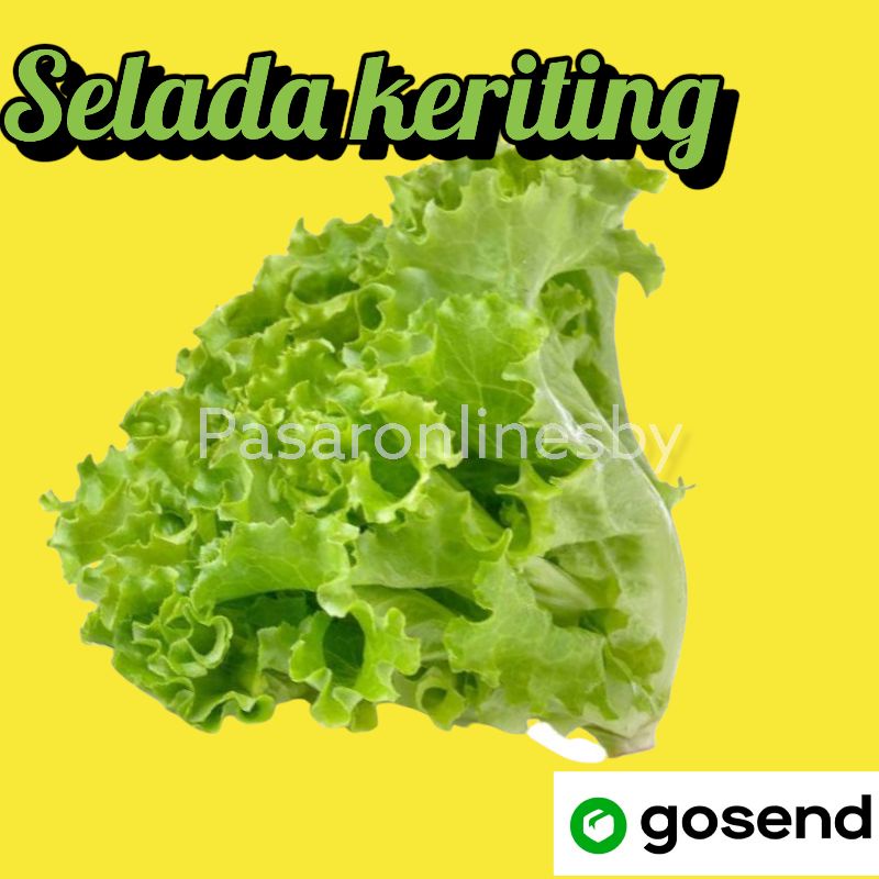 

PASAR GUBENG - Sayur - Selada Keriting