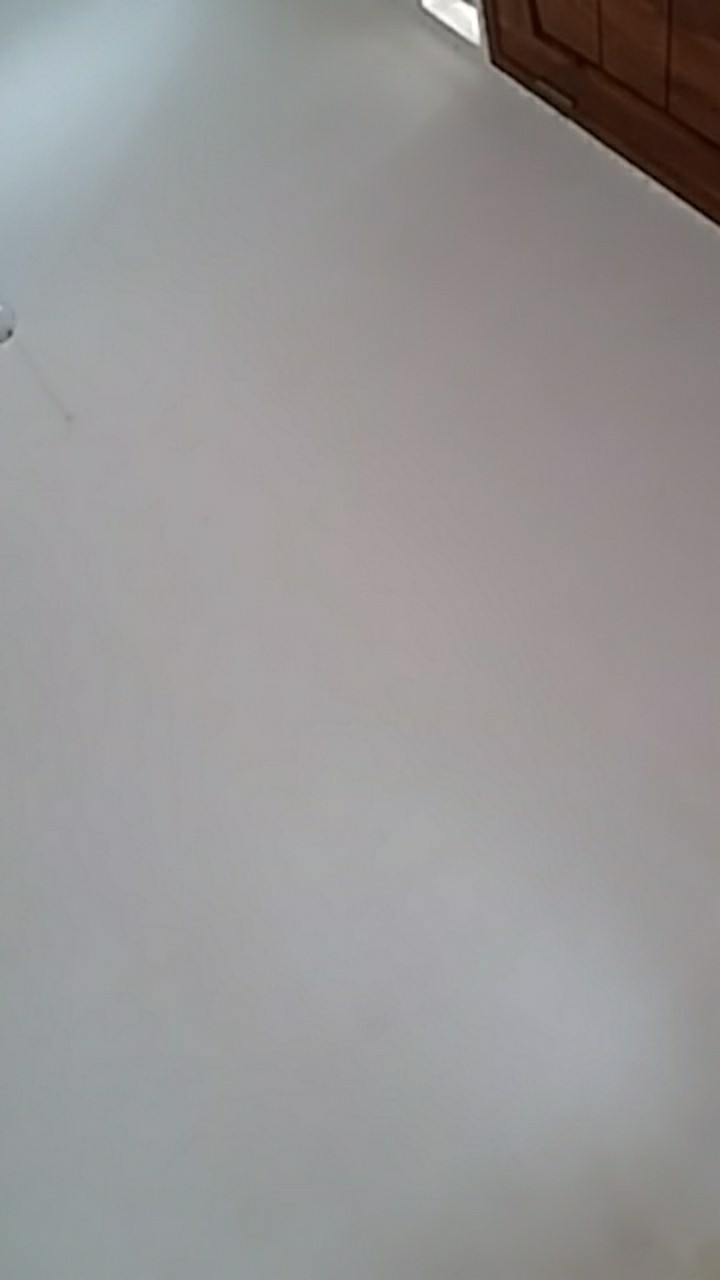 Peace Lily Sepatu Filum Sepatu Pilum Varigata Murah