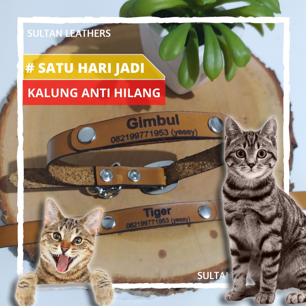 Kalung Kucing Anti Kutu Gratis Nama / Kalung Kucing Murah Kulit Pullup