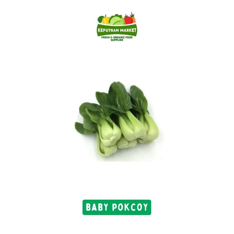 

Baby Pokcoy 500 Gram / Sayur Segar