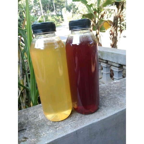 

Madu lebah murni