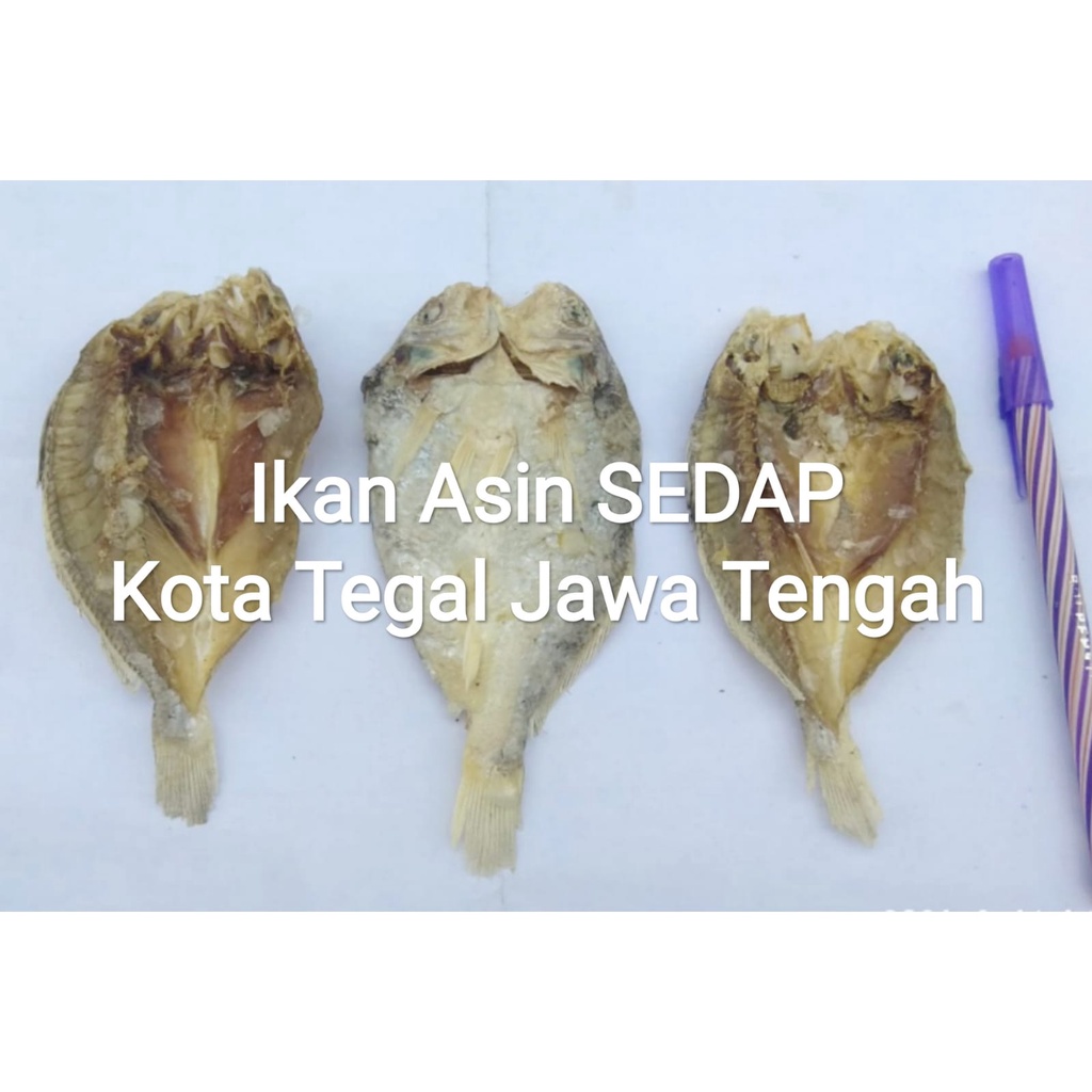 

Ikan Asin Belahan Kepala Batu 250gram Ebak Murah