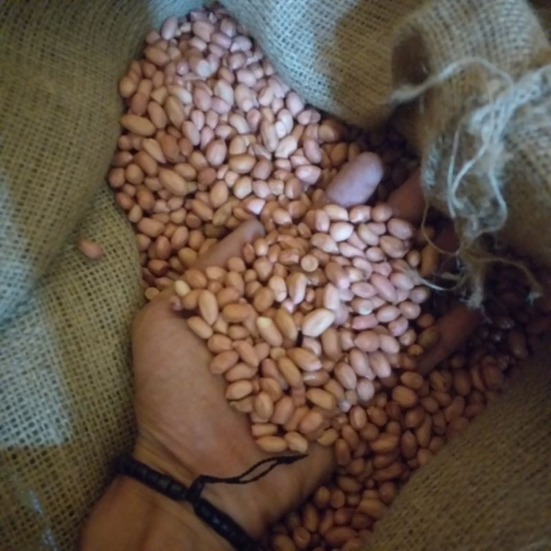 

kacang tanah 500 Gram